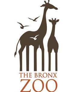 Bronx zoo