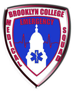 Brooklyn college