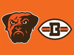 Browns bulldog