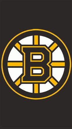 Bruins hockey