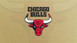 Bulls team