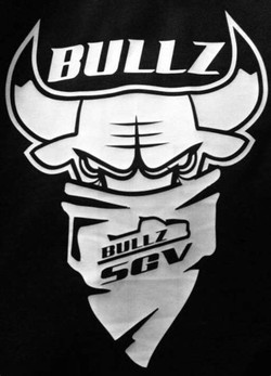 Bullz truck club