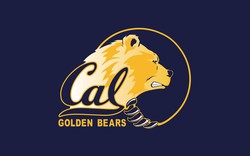 Cal bears