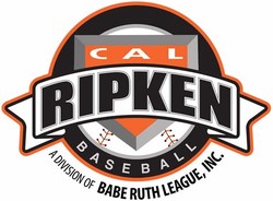 Cal ripken baseball