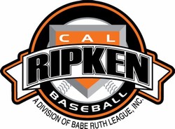 Cal ripken baseball