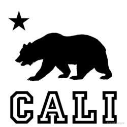 Cali bear