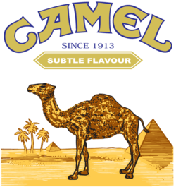 Camel cigarettes