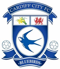 Cardiff city bluebirds