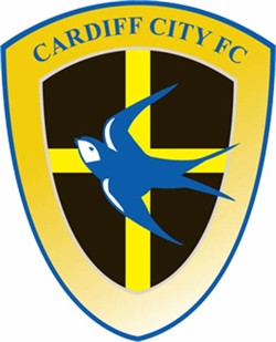 Cardiff city council