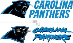 Carolina panthers new