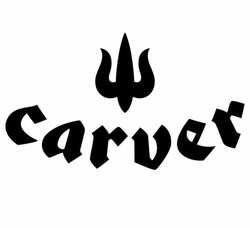 Carver skateboards