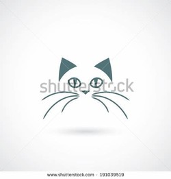Cat face