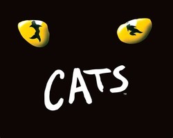 Cats musical