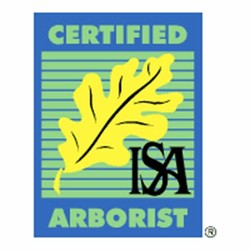 Certified arborist