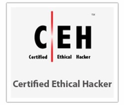 Certified ethical hacker