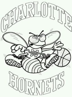 Charlotte hornets old