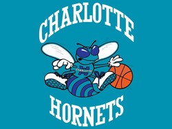 Charlotte hornets original