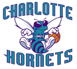 Charlotte hornets original