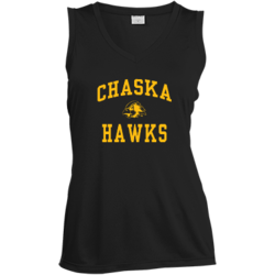 Chaska hawks