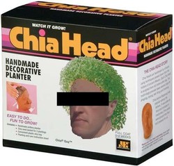 Chia head