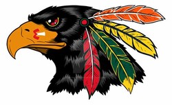 Chicago blackhawks bird