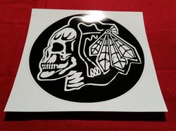 Chicago blackhawks skull