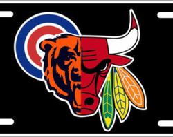 Chicago bulls and bears