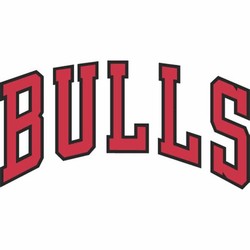 Chicago bulls cursive