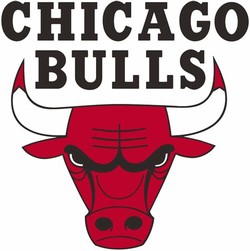 Chicago bulls cursive