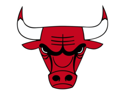 Chicago bulls png
