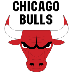 Chicago bulls png