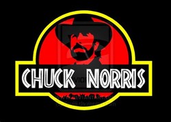 Chuck norris