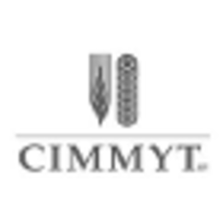 Cimmyt