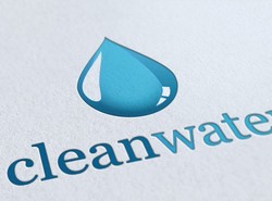 Clean water services