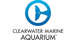 Clearwater marine aquarium