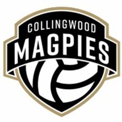 Collingwood magpies