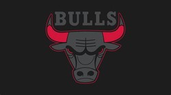 Cool bulls