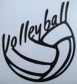Cool volleyball