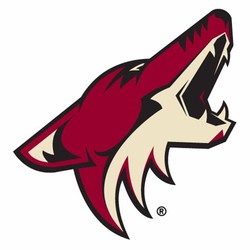 Coyotes hockey
