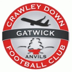 Crawley town