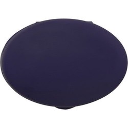 Dark blue oval