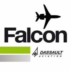 Dassault falcon jet