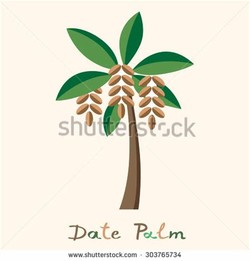 Date tree