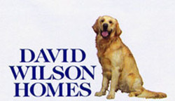 David wilson homes