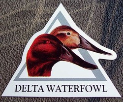 Delta waterfowl