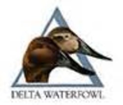 Delta waterfowl
