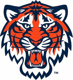 Detroit tigers tiger