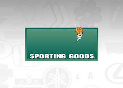Dicks sporting goods