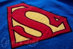 Diy superman