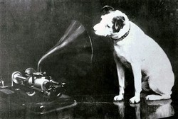 Dog with phonograph